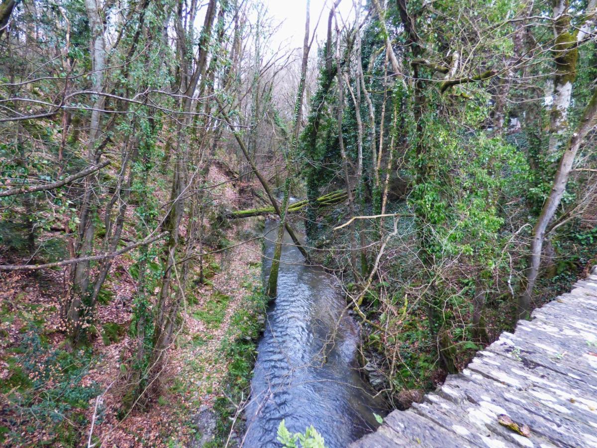 The Mill Cottage Llechryd Zewnętrze zdjęcie